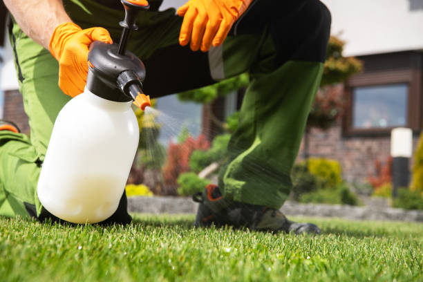 Best Commercial Pest Control  in USA